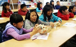 Excelsior Elementary Students Learn about 21st Century Jobs During Career Day - article thumnail image