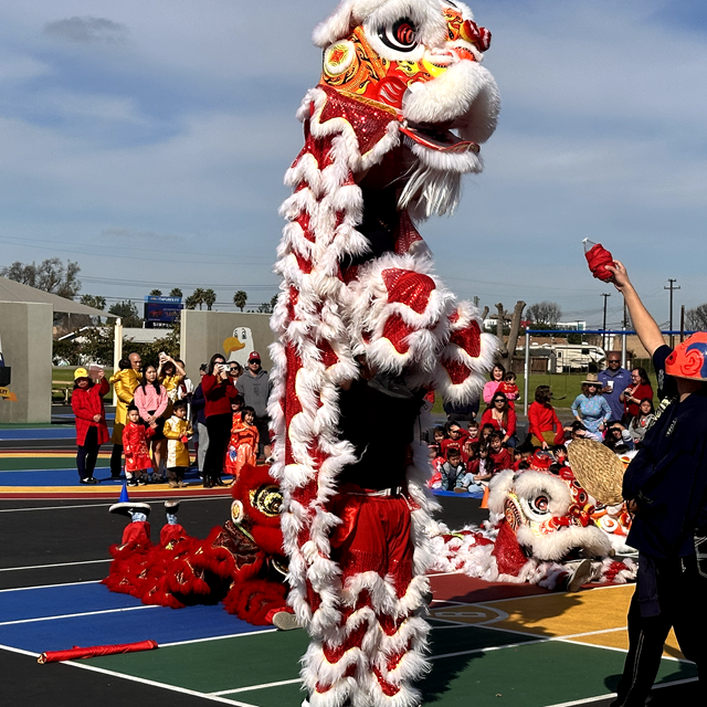 Lion Standing