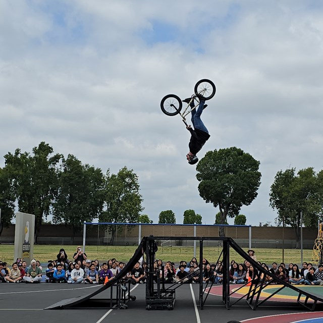 BMX1