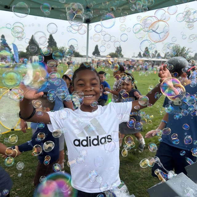 Jackson bubble 
