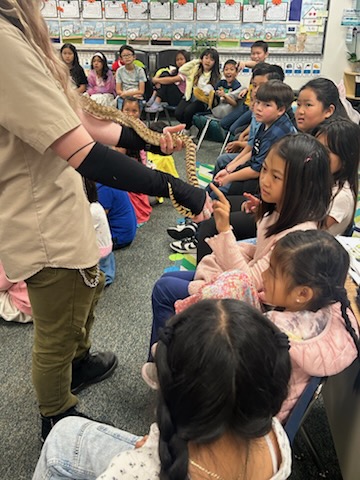3rd graders snake