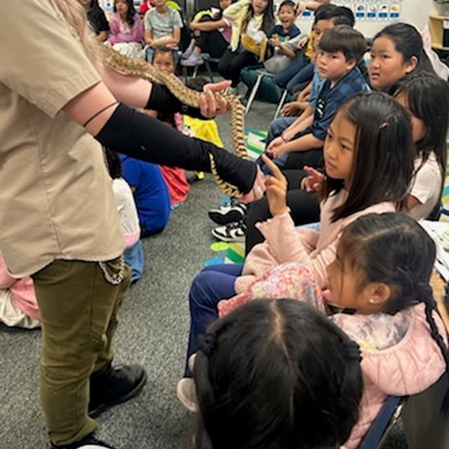 3rd graders snake