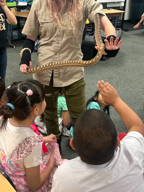 3rd grade gopher snake