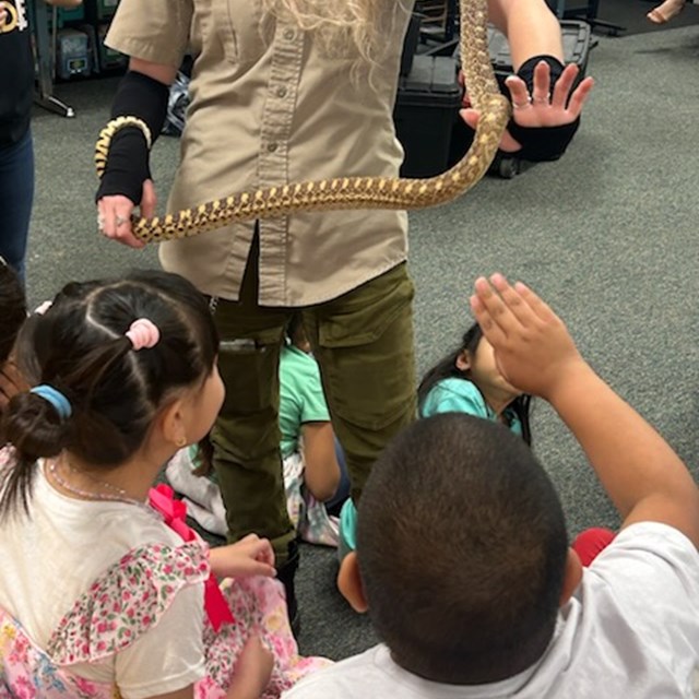 3rd grade gopher snake