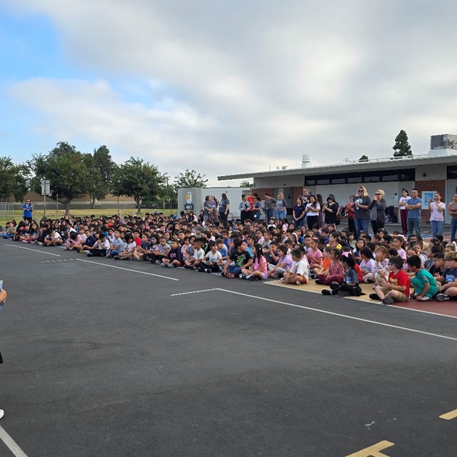 Friday Flag Assembly