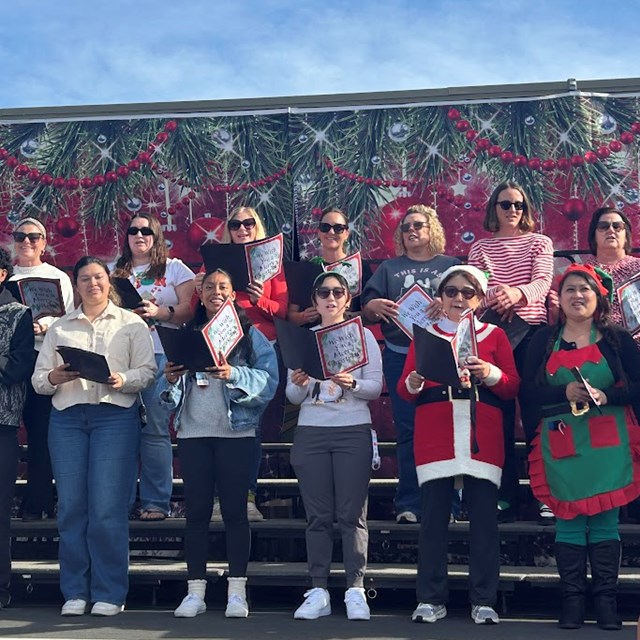 Sing-Along Teachers 